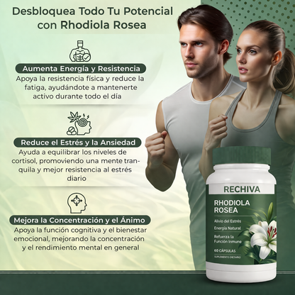 Rechiva™ Rhodiola Rosea